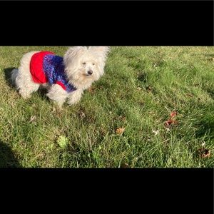 Meet your Posher, Tommy